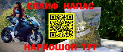 скорость Гатчина