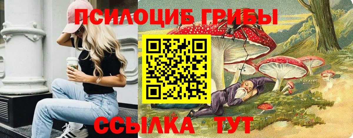 Нижний Тагил  Галлюциногенные грибы прущие грибы  Галлюциногенные грибы мухоморы  Вход с VPN 